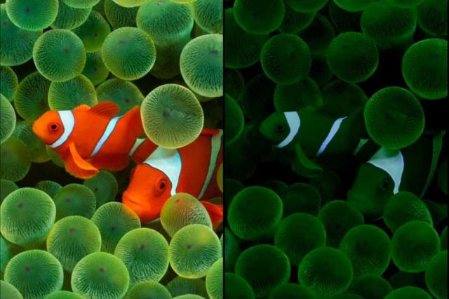 iOS 26 beta 2似乎证实了超薄iPhone 17 Air的存在