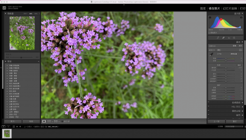 Adobe Lightroom Classic 2024 13.2 for Mac：专业摄影师的数字暗房革新