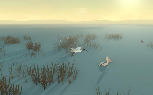 与鹈鹕Mr. Percival的温情海滩之旅：Storm Boy Mac版全面剖析