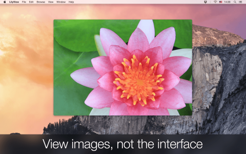 LilyView 1.6 1.7 for Mac:点开图片就能看、界面几乎不挡眼的轻量查看器