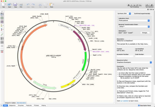 SnapGene 8.2.3 for Mac 轻松规划可视化和记录日常分子克隆流程